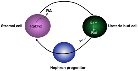 Fig. 7.