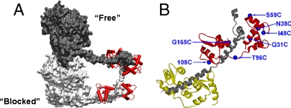 Fig. 1.