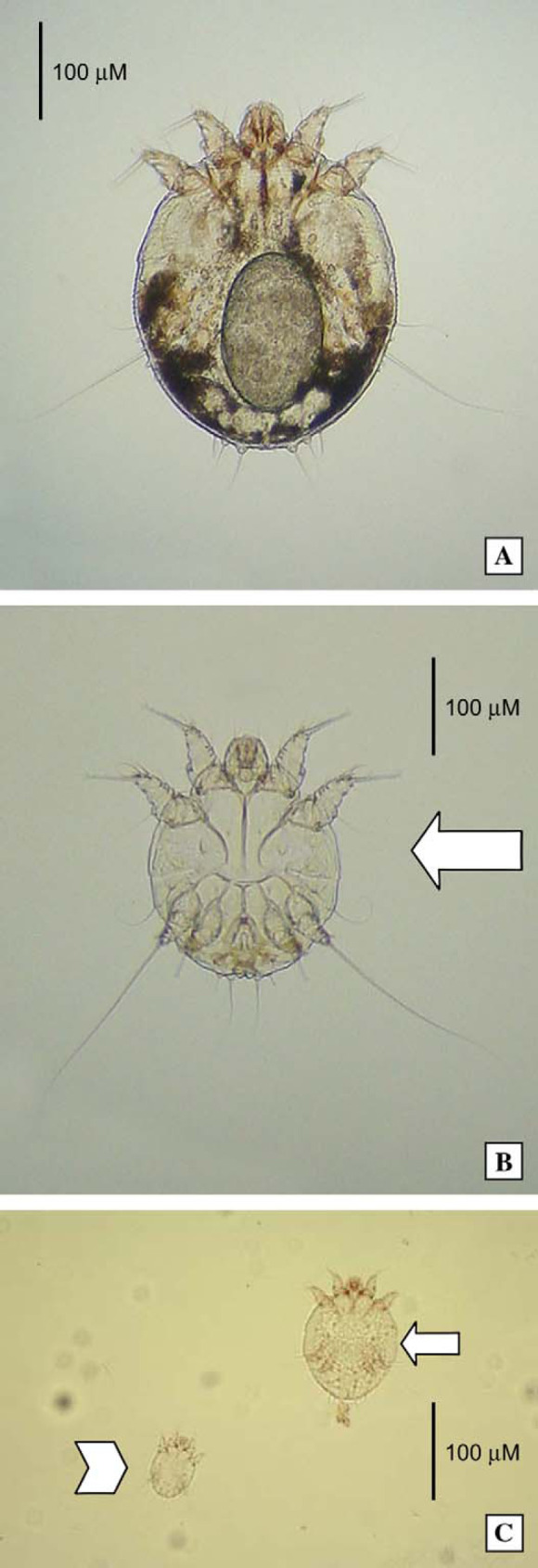 Fig 3