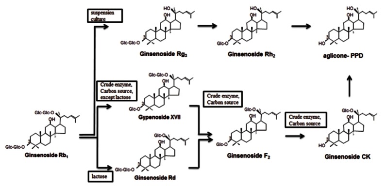 Fig. 5.