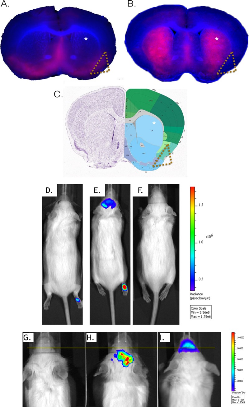 FIG 2