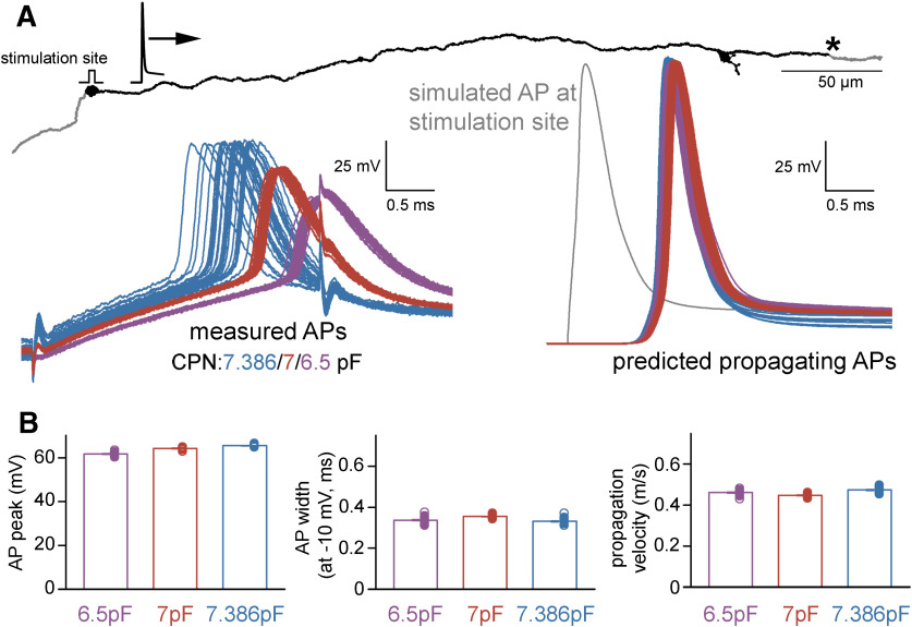 Figure 6.