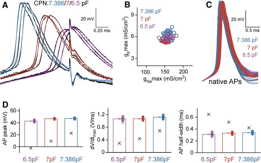 Figure 5.