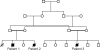 Figure  1.