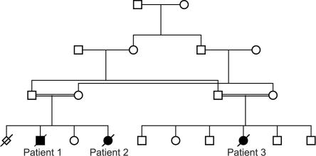 Figure  1. 