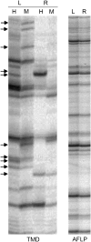 F<sc>igure</sc> 3.—