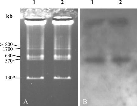 FIG. 7.