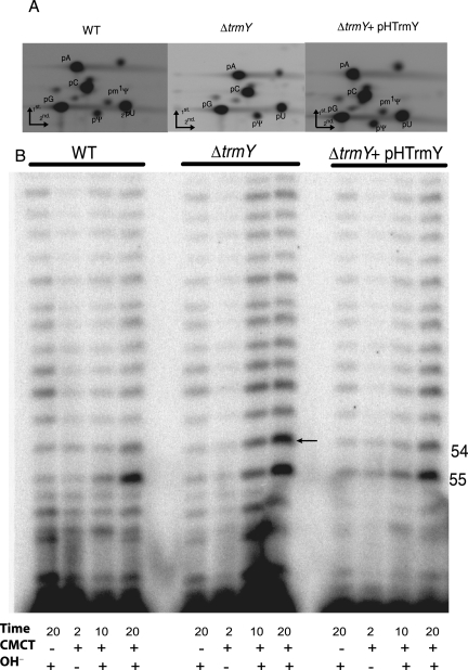 FIGURE 3.