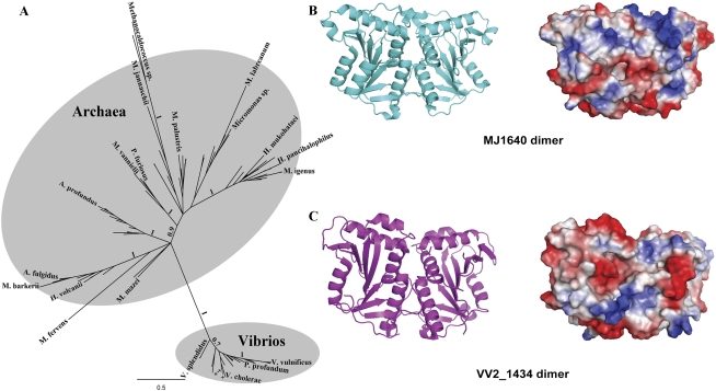 FIGURE 5.