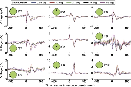 Fig. 6.