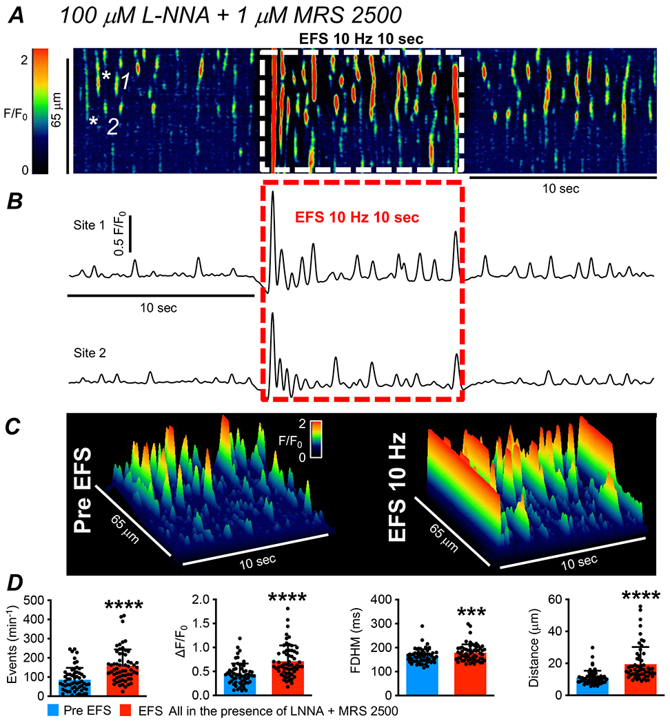 Fig. 4: