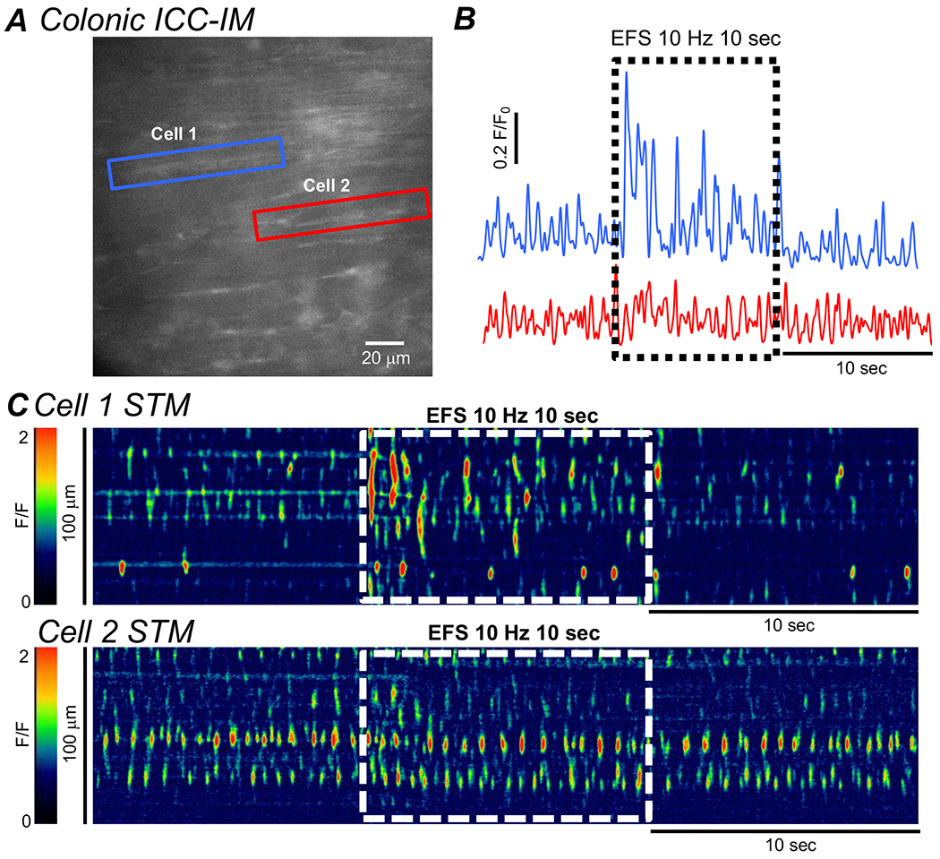 Fig. 6: