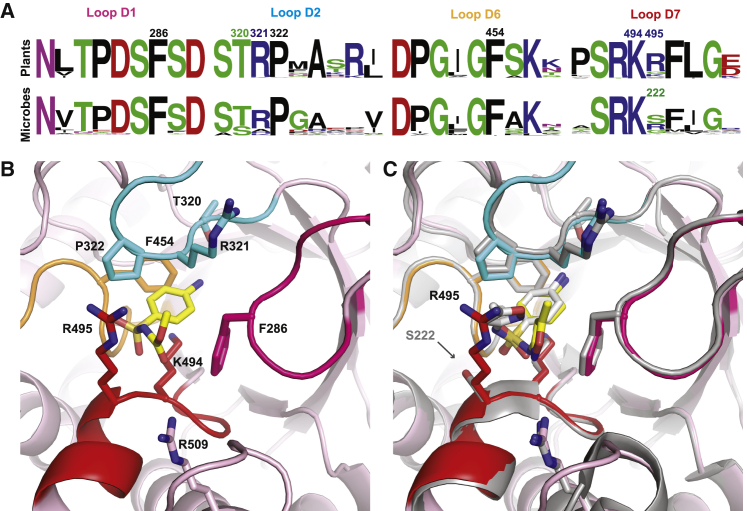 Figure 7