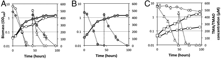 Fig. 5.