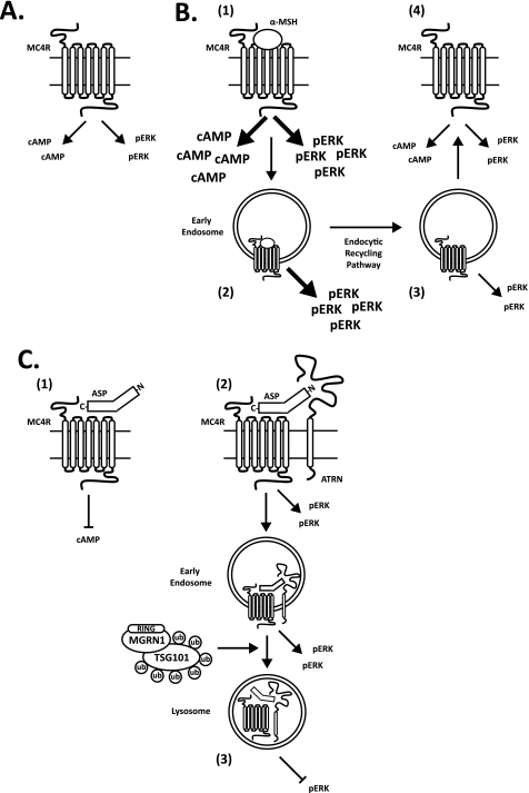 FIGURE 10.