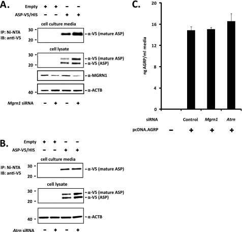 FIGURE 4.