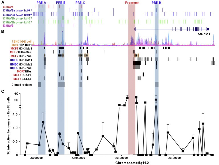 Figure 2