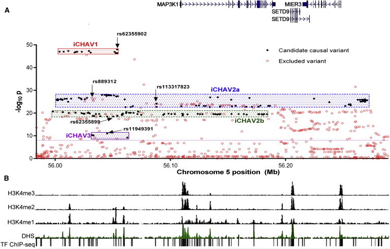 Figure 1