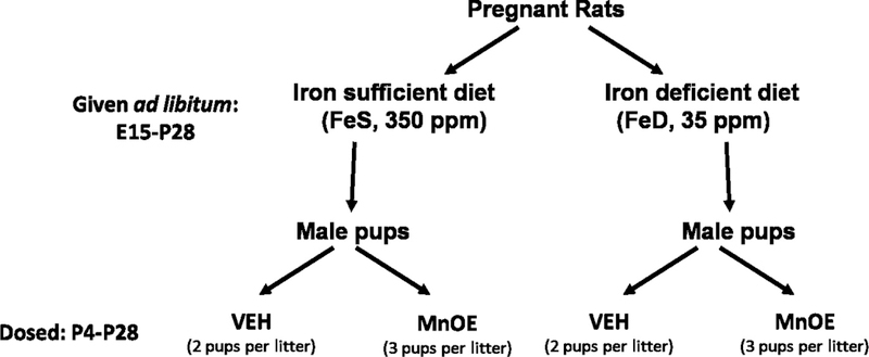 Figure 1: