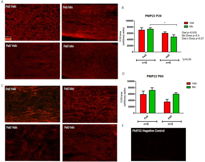 Figure 4: