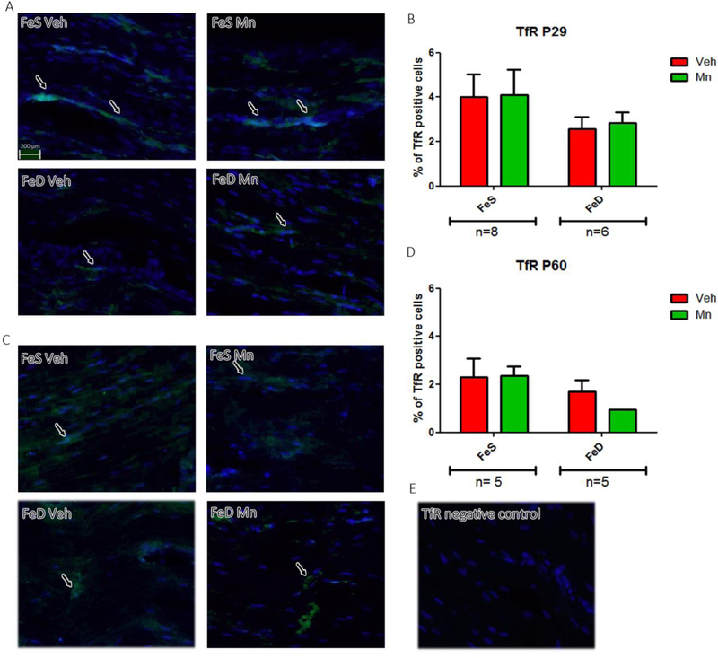 Figure 6: