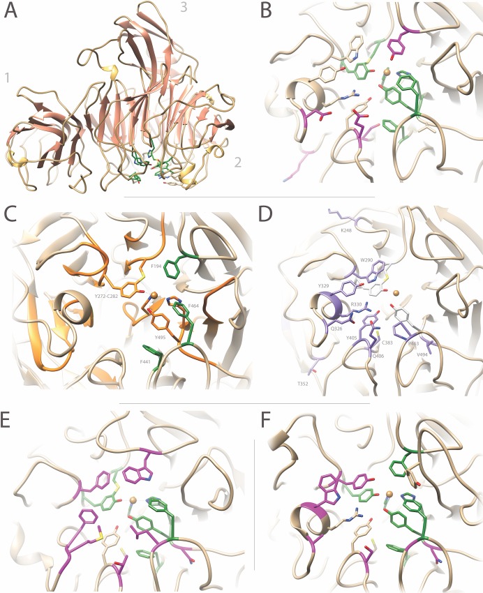 Fig 2