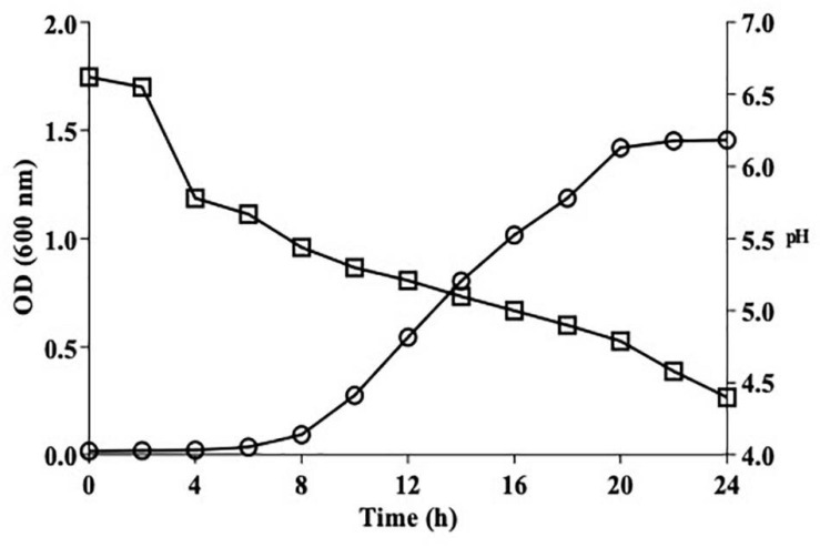 FIGURE 2