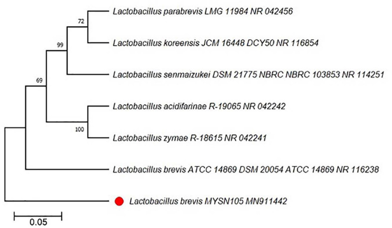 FIGURE 1