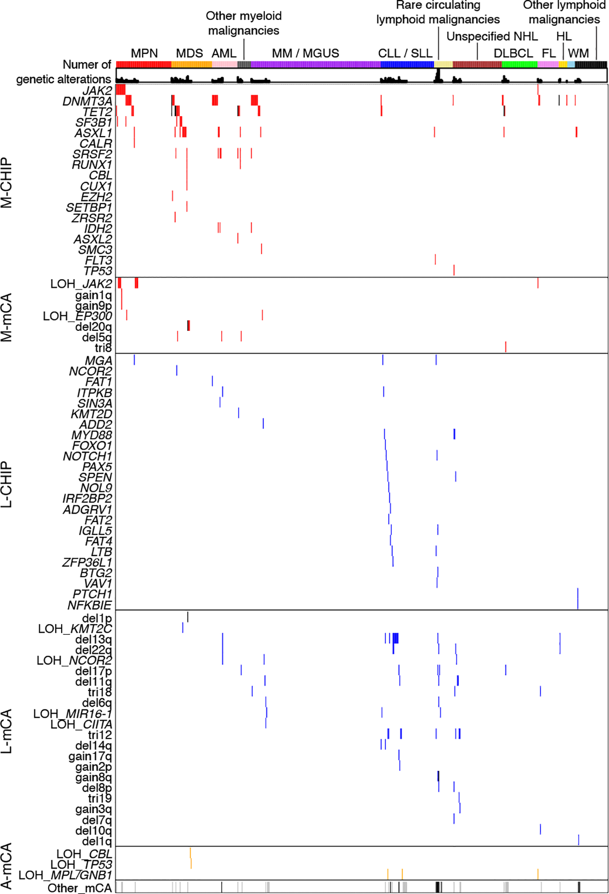 Figure 2: