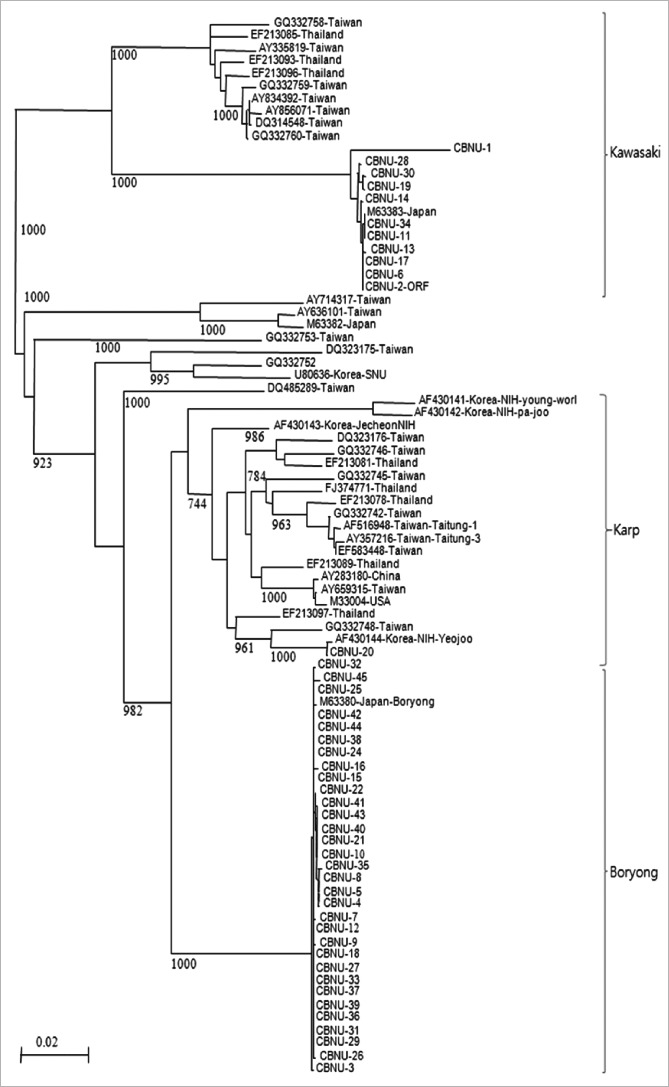 Fig. 2