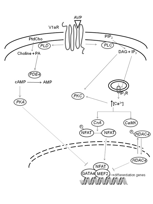 Fig 1.