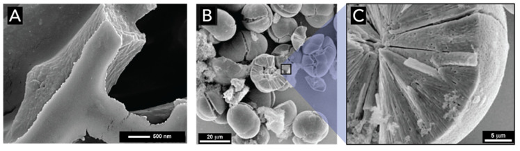 Figure 26