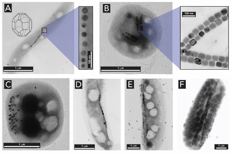 Figure 22