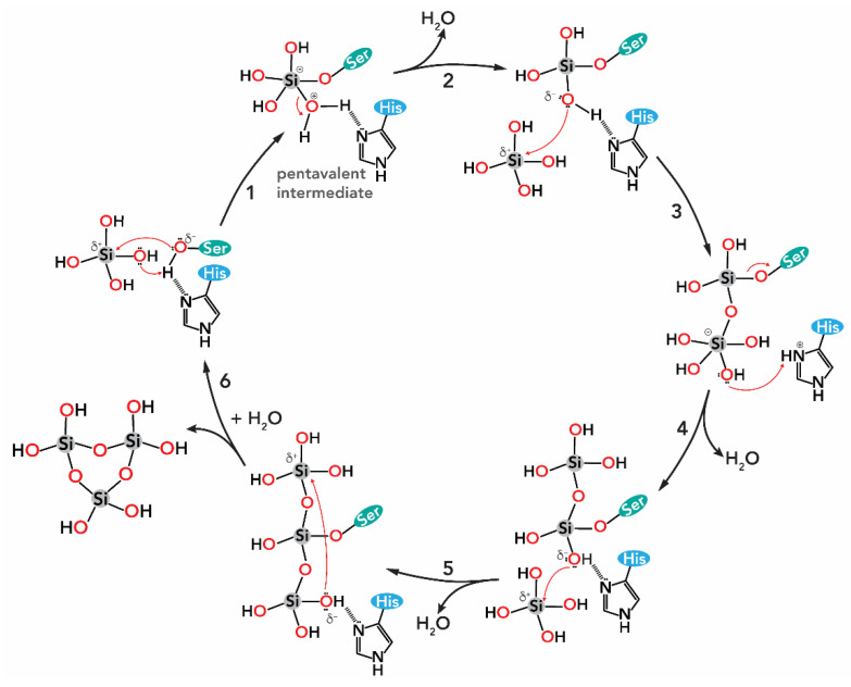 Figure 10