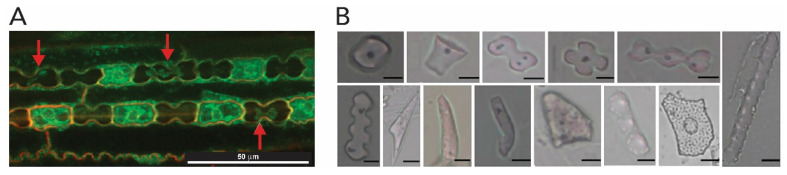 Figure 16