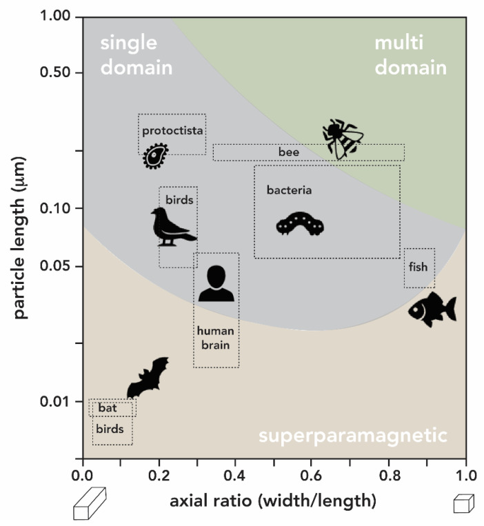 Figure 24