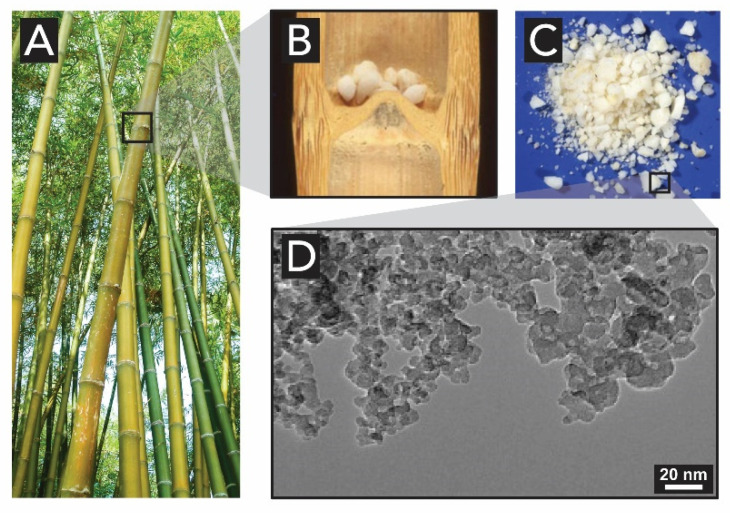 Figure 18