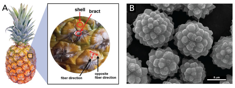 Figure 20