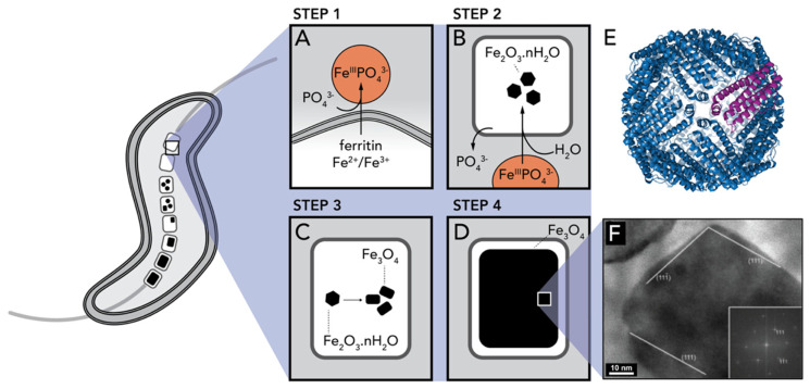 Figure 23