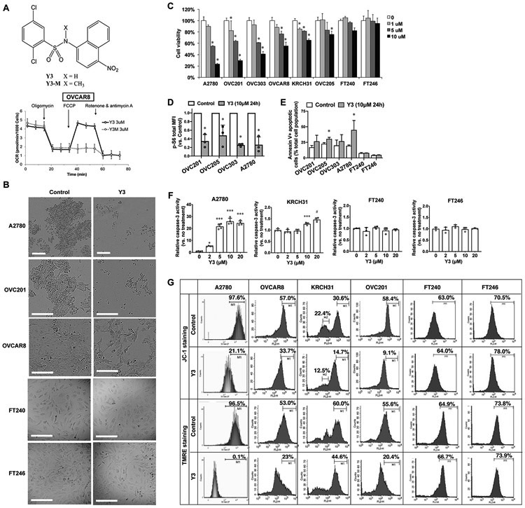 Figure. 1.