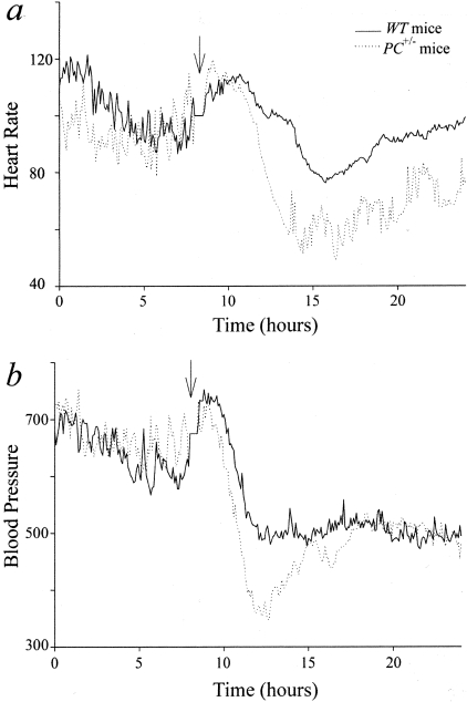 Figure 2-4239