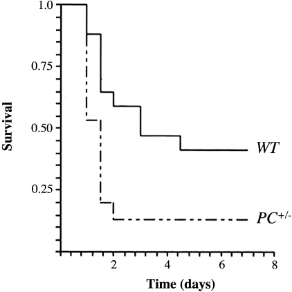 Figure 1-4239