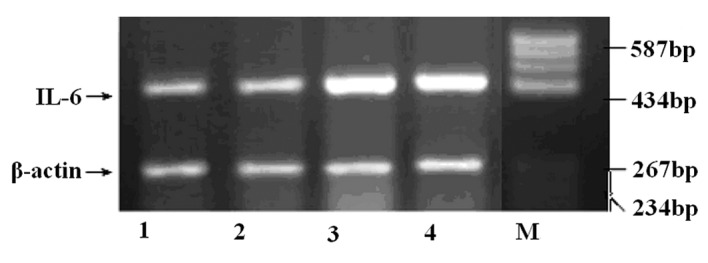 Figure 2