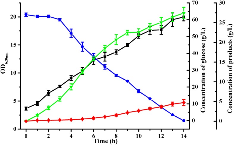 FIGURE 2