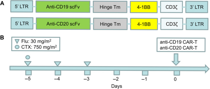 FIGURE 1