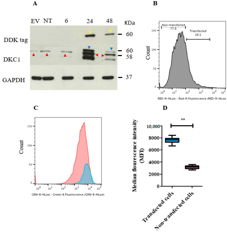 Figure 6