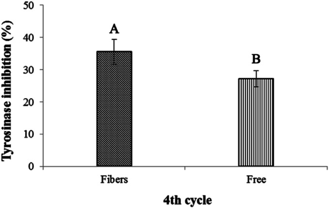 Fig. 10