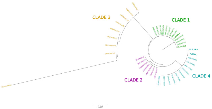 Figure 2