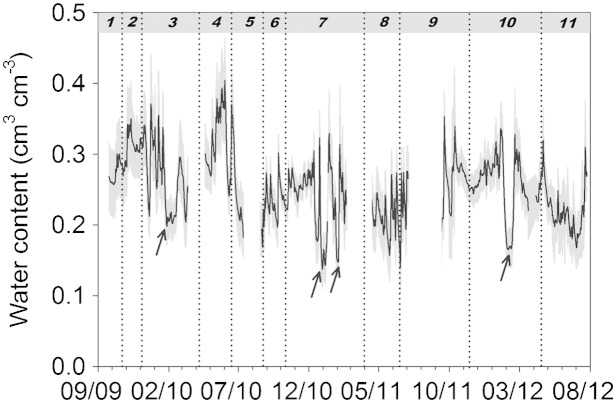 Fig. 2