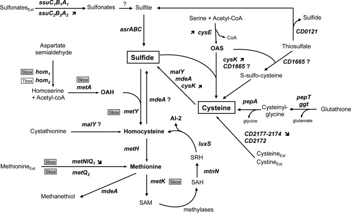 FIG 3